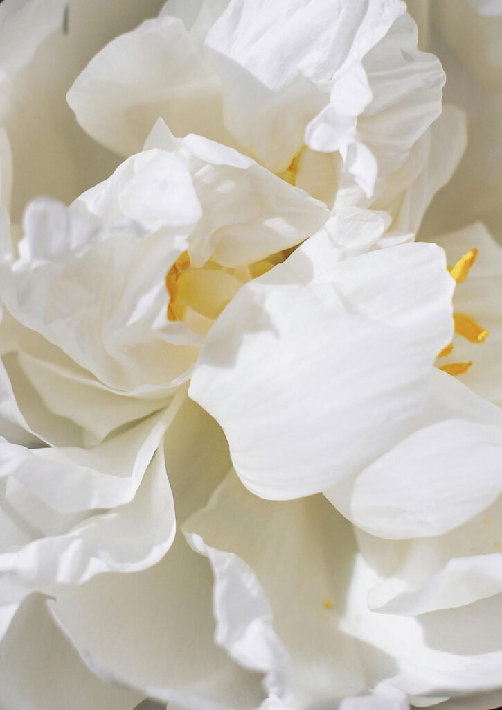 Calming Rituals for Stress: Simple Practices to Soothe Your Mind