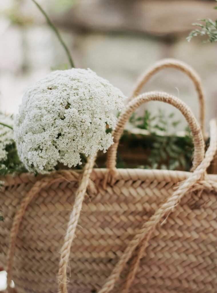 Daily Self Care Checklist: Simple Steps for a Healthier You